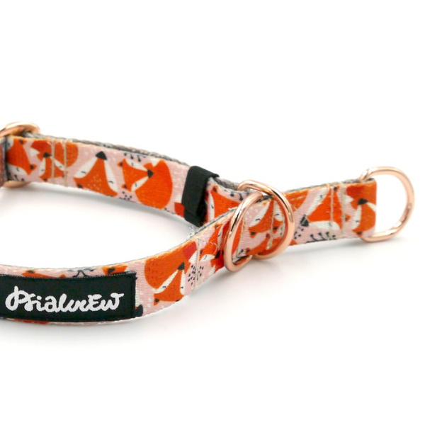Half-choke collar Foxy Lady, 2 cm wide, for small dogs, golden extras