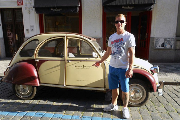 Koszulka męska Pies Bull Terrier Bulleye