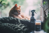 Spray dla Psa do codziennego użytku RUGGED PAW TONIC SPRAY