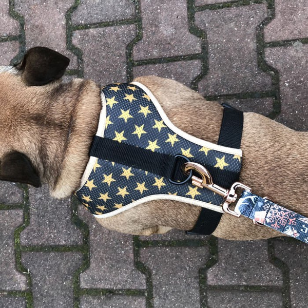 Dog Harness Gold Stars Always Feeling Cool, Super Soft Psiakrew