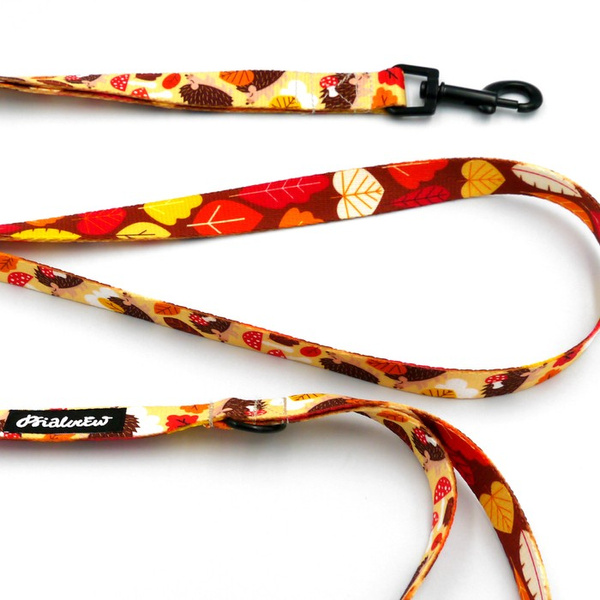 Walking leash for Dog Hedgehog Dreamer Psiakrew, width 2 cm, black snap hook 6 cm