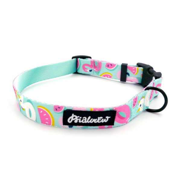 Dog Collar Azure Pool Psiakrew, 2 cm 0.78"  wide, for smaller dogs