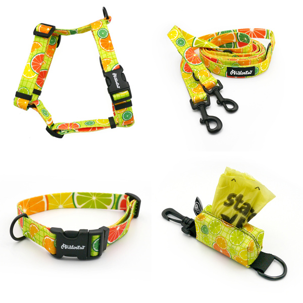 ZUBEHÖRSATZ für einen kleinen Hund Lemonade Psiakrew -Serie; Halsband, Geschirr, Leine, Etui für Kotbeutel