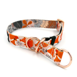 Half-Choke-Halsband Foxy Lady, 2 cm breit, für kleine Hunde, goldene Accessoires