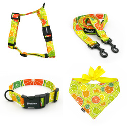 ACCESSORY KIT. Medium dog. Psiakrew Lemonade Series; Collar, Harness, Leash, Bandana