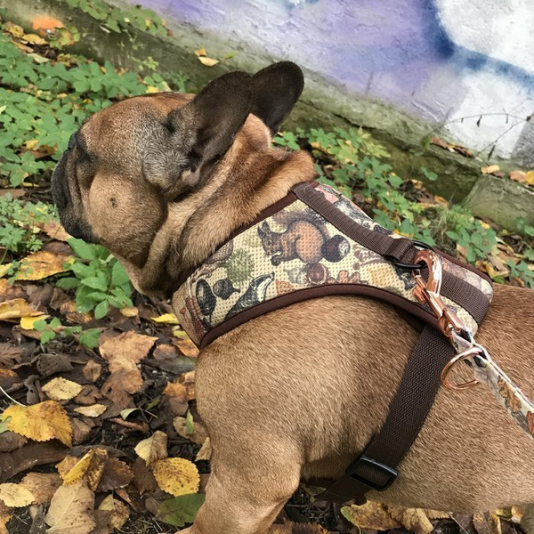 Dog Harness Forest Treasures, Always Feeling Cool, Super Soft Psiakrew