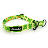 Halb-Klemmhalsband- Green Frogs, 2,5 cm, für mittelgroße und größere Hunde, Schwarz-Beschläge, Psiakrew