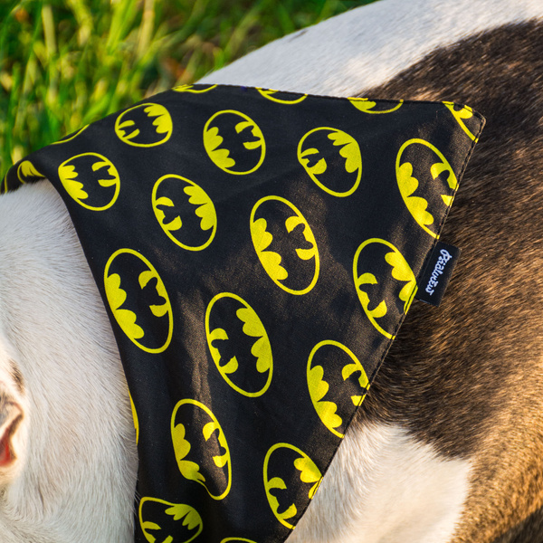 Apaszka dla psa Batdog Psiakrew, bandanka wiązana
