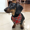 Bandamka świąteczna dla psa, wiązana chusteczka w szkocką kratę Tartan