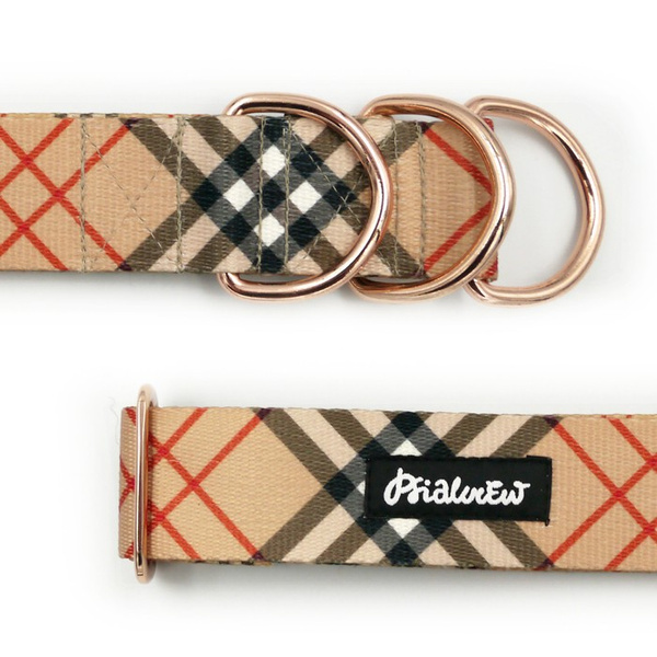 Dogberry Half-Clamp-Halsband, 4 cm breit, für mittlere und größere Hunde, goldene Beschläge