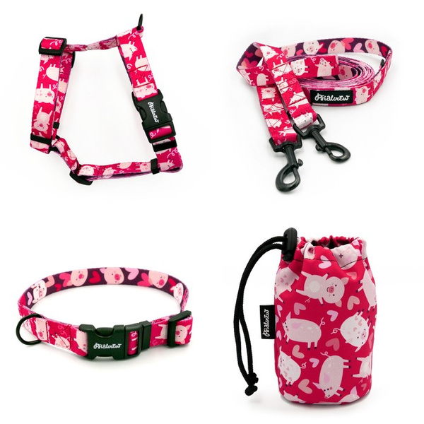 ACCESSORY KIT. Small dog. Piggy in Love Psiakrew Series; Collar, Harness, Leash, Sachet for dog treats