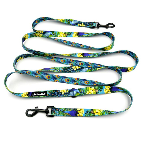 Long Dog Leash Peacock's Eye Psiakrew width 2 cm (0.78"), black snap hook 7 cm (3,15")