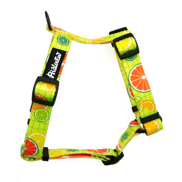 Małe Szelki dla Psa Typu Guard Lemoniada Psiakrew, taśma 2 cm, okucia czarne