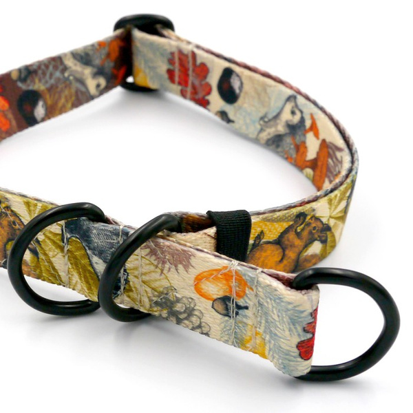 Half-choke collar Forest Treasures, 2.5 cm wide, medium and big dogs, black extras