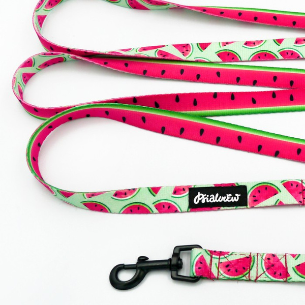 Hundeleine Watermelon Psiakrew Breite 2 cm, schwarzer Karabinerhaken 6 cm