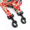 Dog Leash Fruit Jelly width 2.5 cm, 1"  wide, black snap hook 8cm