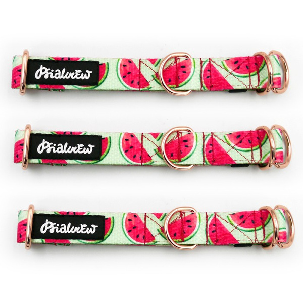 Obroża półzaciskowa Watermelon szeroka na 2 cm, dla małych psów, złote dodatki