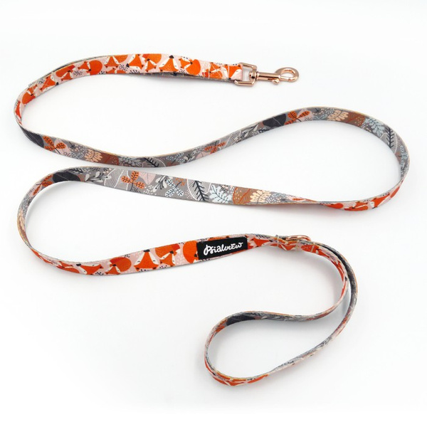 Smycz spacerowa miejska dla Psa Foxy Lady Psiakrew szerokość 2 cm złoty karabińczyk 6 cm