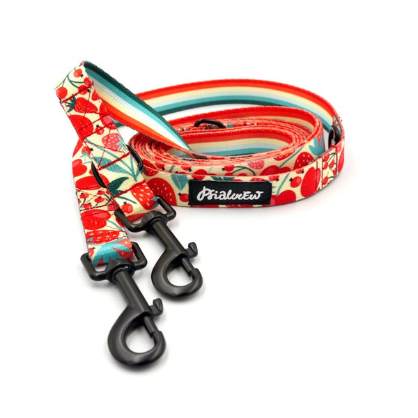 Long Dog Leash Fruit Jelly Psiakrew width 2 cm (0.78"),  black snap hook 7 cm (3,15")