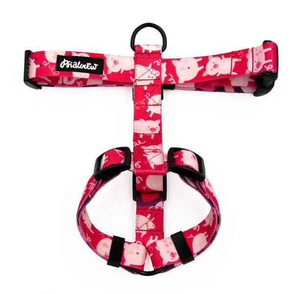 Hundegeschirr Piggy in Love Psiakrew, mittlere und größere Hunde, 2,5 cm Gurtband, schwarze Beschläge