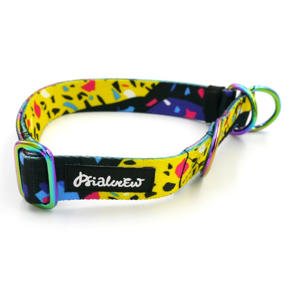 Half-choke collar Terrazzo, 2.5 cm wide, medium and big dogs, HOLO extras
