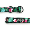 Half-choke collar Tropical Monstera, 2.5 cm wide, medium and big dogs, black extras
