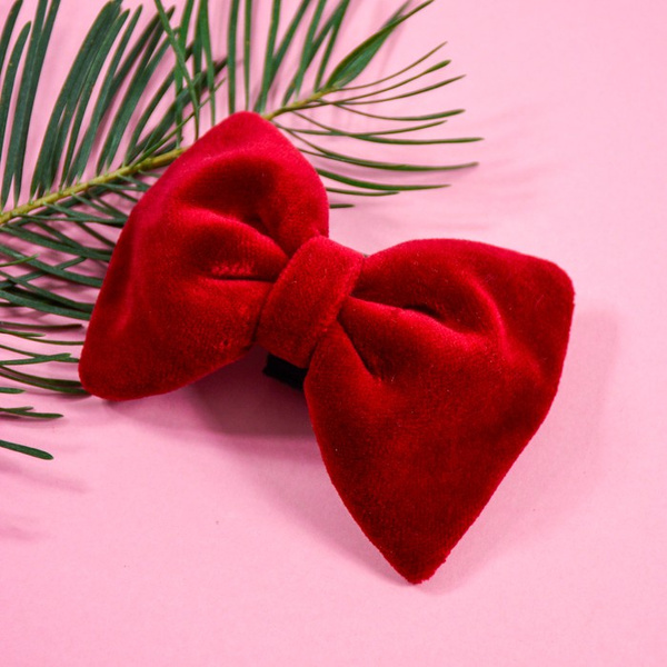 Velvet claret bow tie for a dog an elegant ornament for special occasions, attached to the collar
