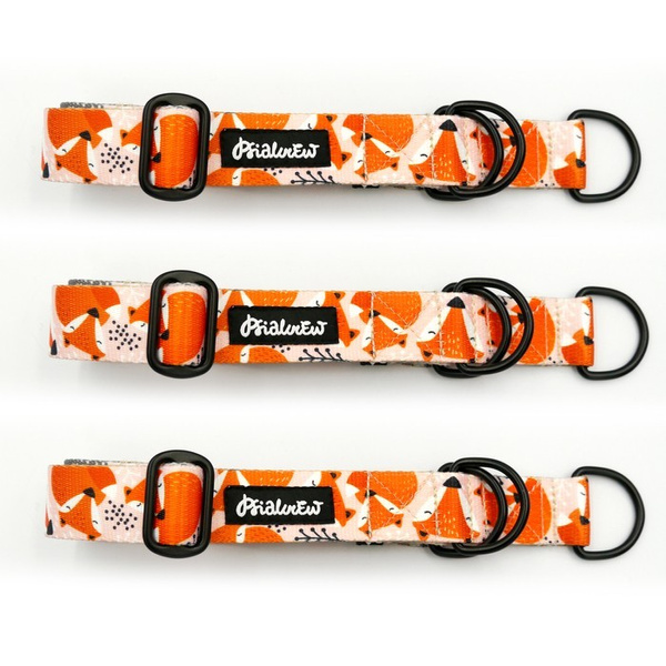 Half-choke collar Foxy Lady, 3 cm wide, medium and big dogs, black extras