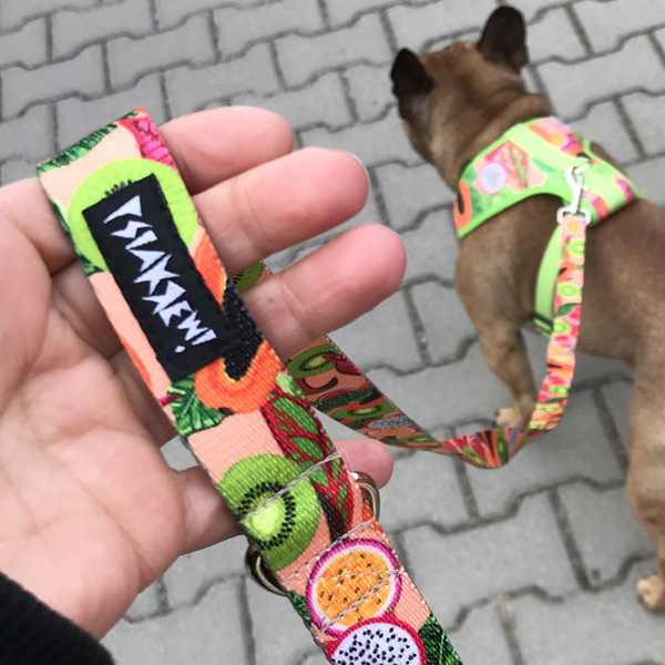 Dog Harness Tutti Frutti, Always Feeling Cool, Super Soft Psiakrew, fruity pattern