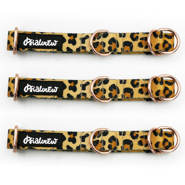 Half-choke collar Tarzan, 2 cm wide, for small dogs, rose gold extras