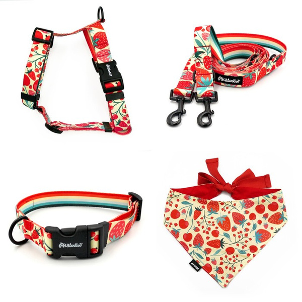 ACCESSORY KIT. Medium dog. Fruit Jelly Psiakrew Series; Collar, Harness, Leash, Bandana