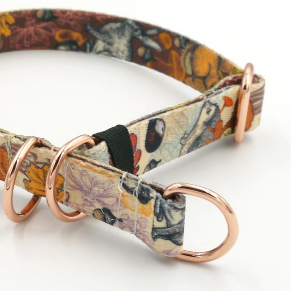 Half-Choke-Halsband Forest Treasures, 2 cm breit, für kleine Hunde, goldene Accessoires