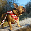 Christmas Gift for Dog, Harness, Always Feeling Cool, Super Soft Psiakrew Snowman
