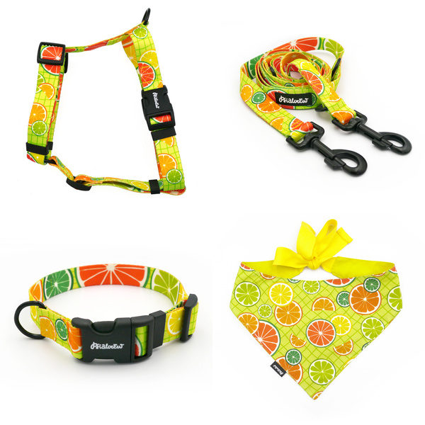 ZUBEHÖRSATZ. Großer Hund. Lemonade Psiakrew Serie; Halsband, Geschirr, Leine, Bandana