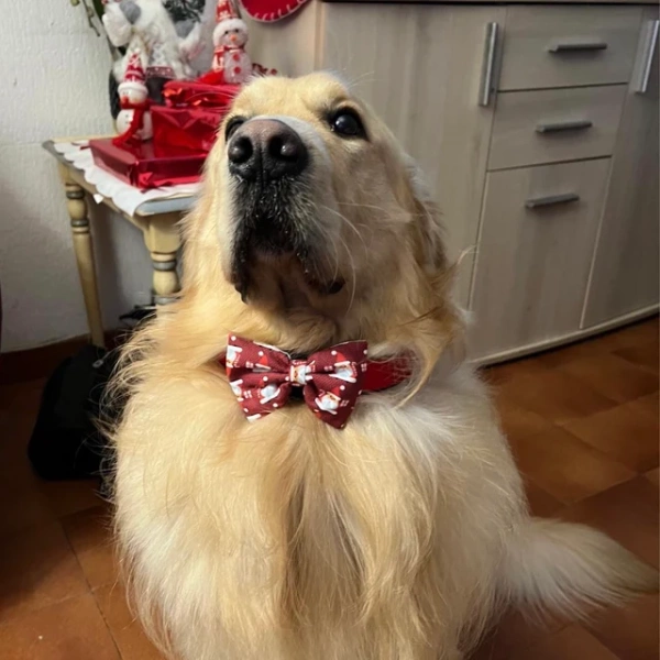 Weihnachten Hundefliege Katzenhalsband Dekoration- Weihnachtsmänner