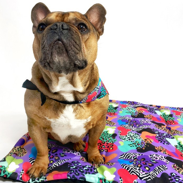 Premium Mat Plaid Blanket for the dog, Crazy Leopard Psiakrew Design