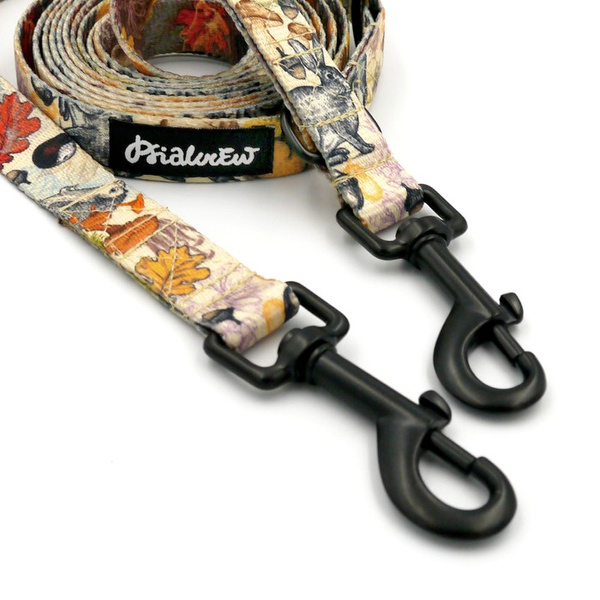 Long Dog Leash Forest Treasures Psiakrew width 2 cm (0.78"),  black snap hook 7 cm (3,15")