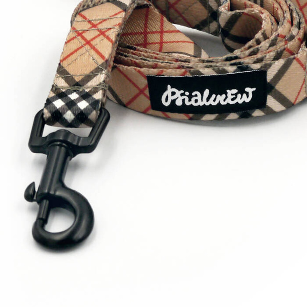 Laufleine für Hund Dogberry Psiakrew, Breite 2 cm, schwarzer Karabinerhaken 6 cm