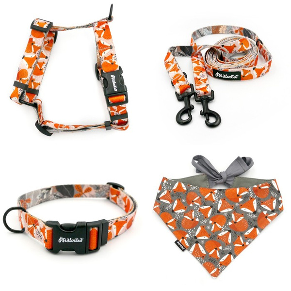 ZUBEHÖRSATZ für einen kleinen Hund Foxy Lady Psiakrew -Serie; Halsband, Geschirr, Leine, Bandana