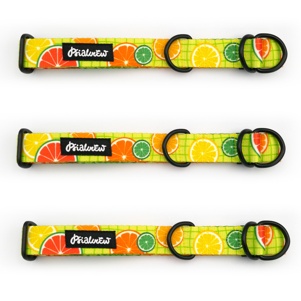 Halb-Klemmhalsband Lemonade Psiakrew, 2,5 cm breit, für mittelgroße und größere Hunde, Schwarz-Beschläge