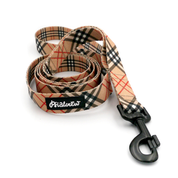 Dog Leash Dogberry Psiakrew width 2.5 cm, 1"  wide, big black snap hook 8 cm