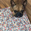 Premium Mat Plaid Blanket for the dog, Hot Sweetness Psiakrew Design