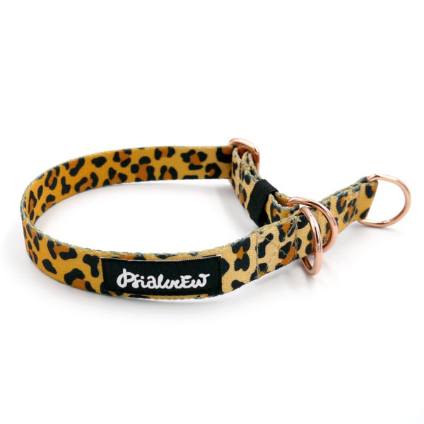 Half-Choke-Halsband Tarzan, 2 cm breit, für kleine Hunde, goldene Accessoires