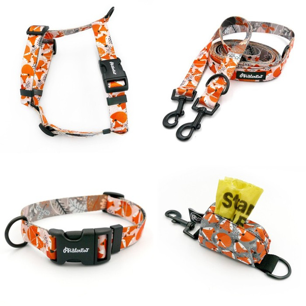 ACCESSORY KIT. Medium dog. Foxy Lady Psiakrew Series; Collar, Harness, Leash, Pouch