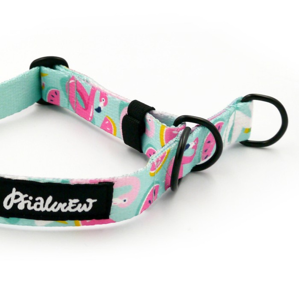 Half-Choke-Halsband Azure Pool, 2 cm breit, für kleine Hunde, schwarze Accessoires