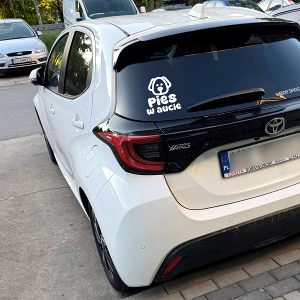 Pies w aucie Psiakrew Autoaufkleber