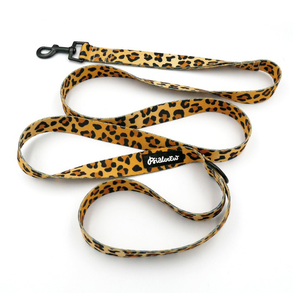 Dog Leash Tarzan width 2.5 cm, 1"  wide, black snap hook 6 cm