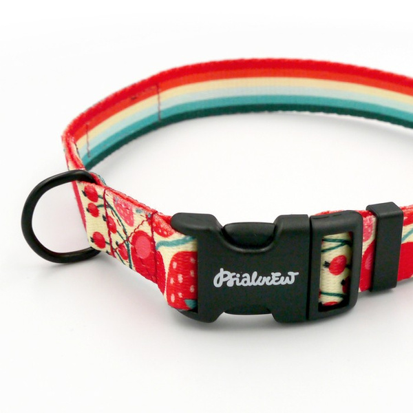 Verstellbares Halsband Fruit Jelly Psiakrew, 2cm breit, schwarze Beschläge