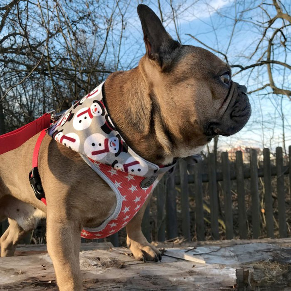 Premium Dog Bandana Snowman handkerchief style to tie around your pet’s neck gray