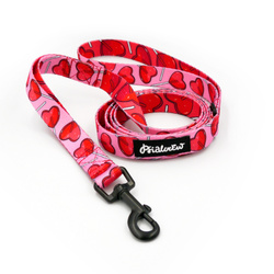 Laufleine für Hund Lollipops Psiakrew, Breite 2 cm, schwarzer Karabinerhaken 6 cm